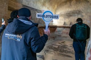 Ab Neapel: Herculaneum-Halbtagestour mit Guide & Tickets