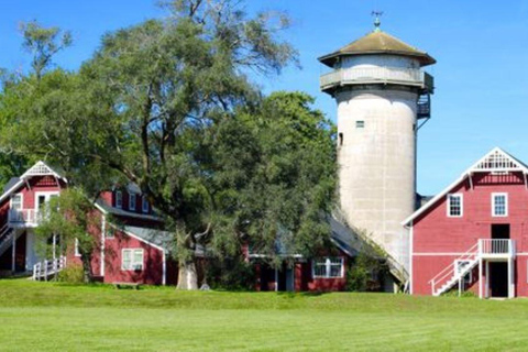 Guided Tour of a Local New England Cranberry Farm