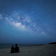 Ishigaki: Jungle Walk and Stargazing Night Tour