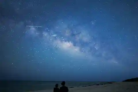 Ishigaki: Jungle Walk and Stargazing Night Tour