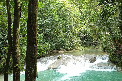 Puerto Plata: Das Taino-Tal und das dominikanische Geschmackserlebnis