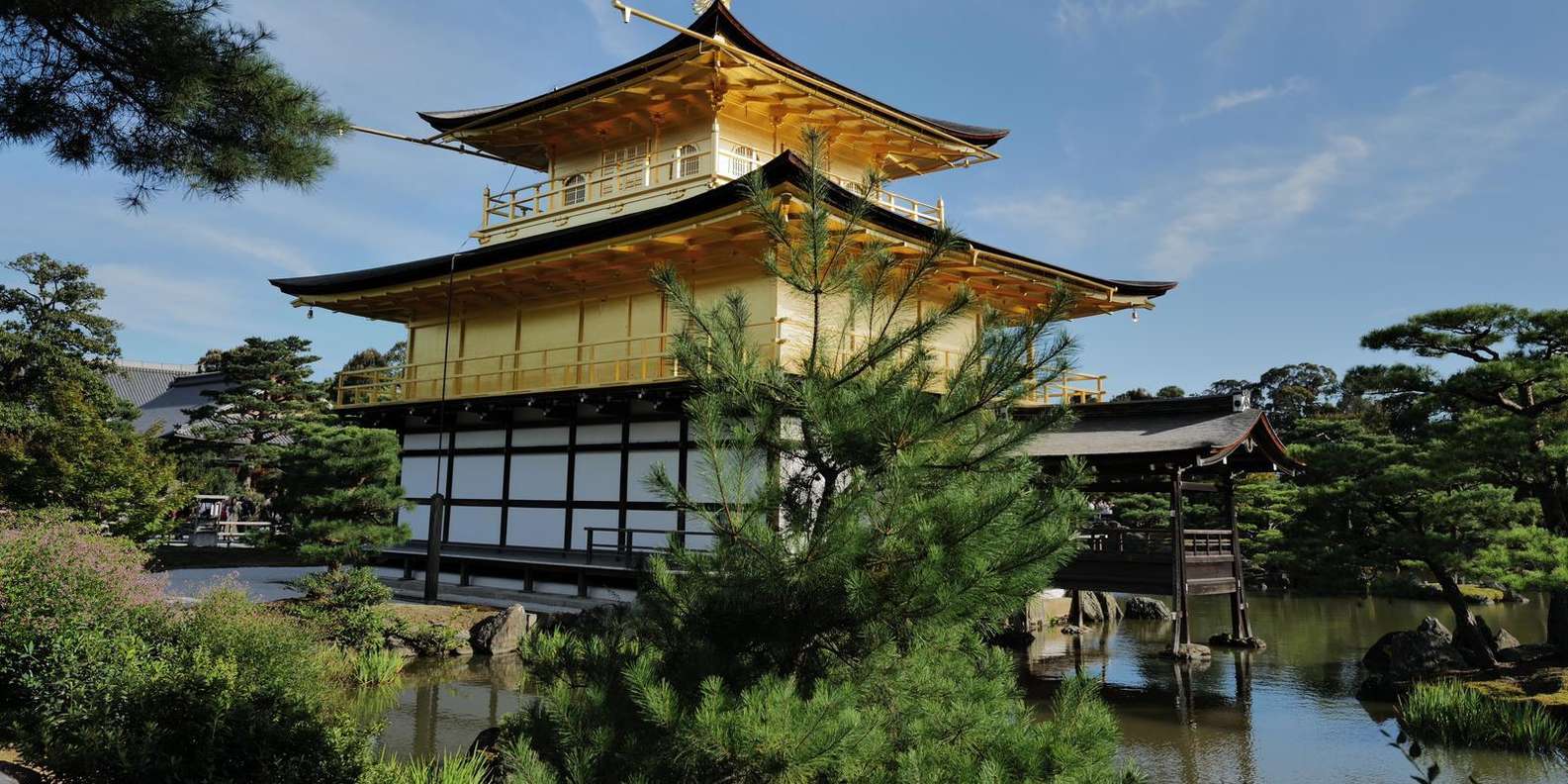 Kyoto experience — temples, geisha, bamboo grove — image 10