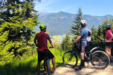 Salzkammergut: Guided e-bike tour to the alpine pastures in Gosau and Hallstatt