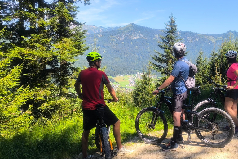 Salzkammergut: Guided e-bike tour to the alpine pastures in Gosau and Hallstatt