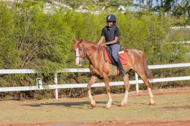 Nairobi: 1-hour Horse Riding Experience with Instructor