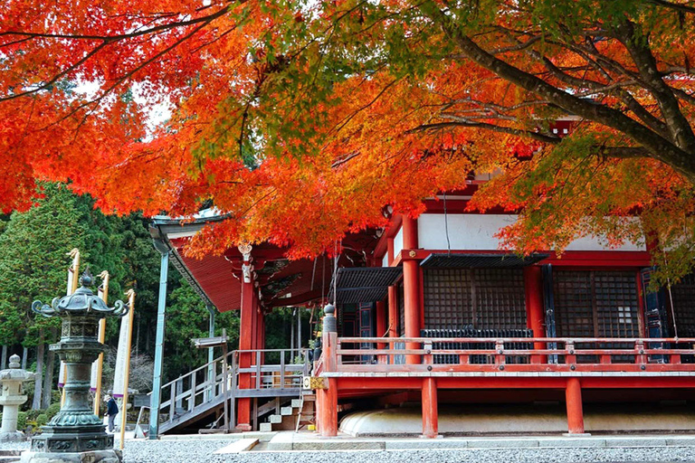 Tour autunnale dei templi Enryaku-ji e KyorinboParti da Kyoto