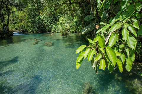 El País de las Maravillas de la Fauna - Reserva Alto Mayo de Tarapoto