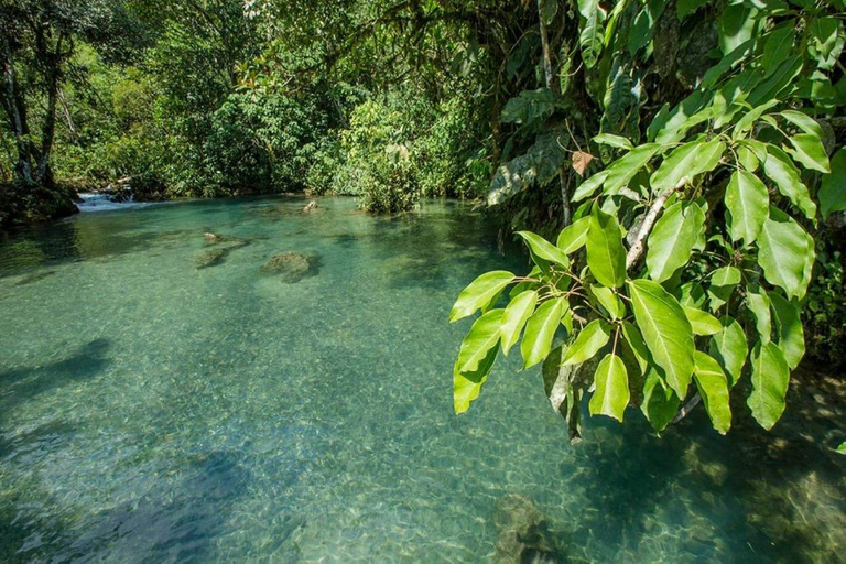 Underland med vilda djur - Tarapotos reservat Alto Mayo