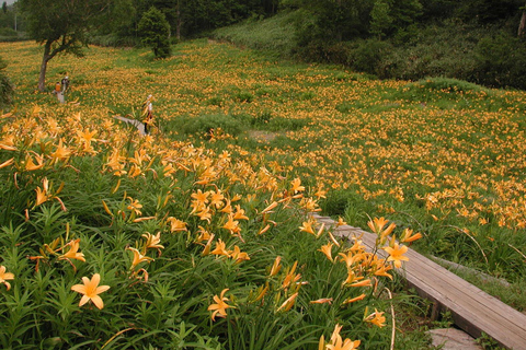 From Kanazawa: Tateyama Mountain Tour with Waterfall & Hike