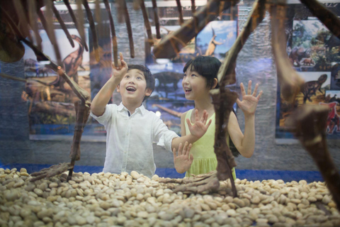Museum of Zoology Sao Paulo Private Guided Tour & Transport 2-hour: Museum of Zoology Tour