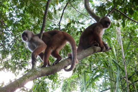 Tambopata Tour 4 Days Private