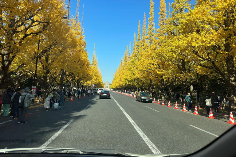 Tour de día completo por la ciudad de Tokio con recogida y regreso