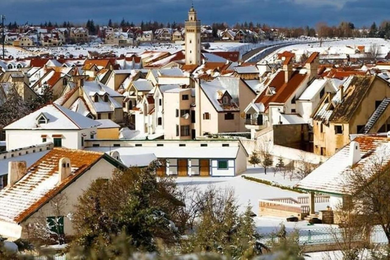 From Fez: Middle Atlas Ifran and Forest of Monkeys Day Trip
