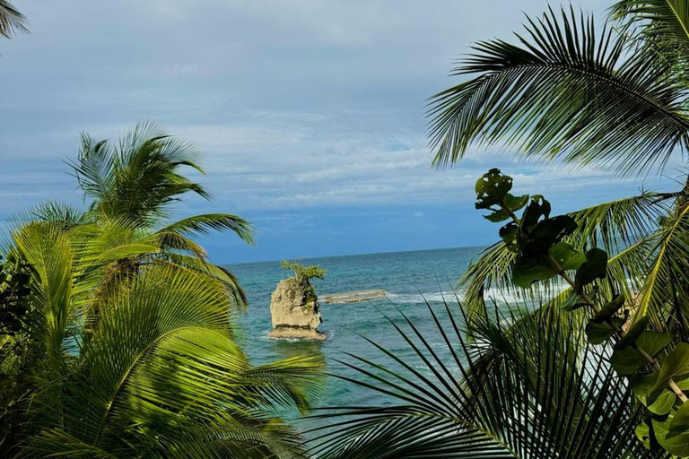 Gandoca-Manzanillo Refuge Day Trip