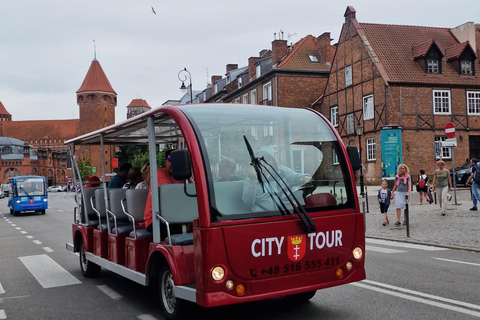 Danzig: VIP Stadtführung Golf Cart 2h+Gradowa Hill View PointDanzig: VIP City Sightseeing Tour Golf Cart 2h+Gradowa Hügel