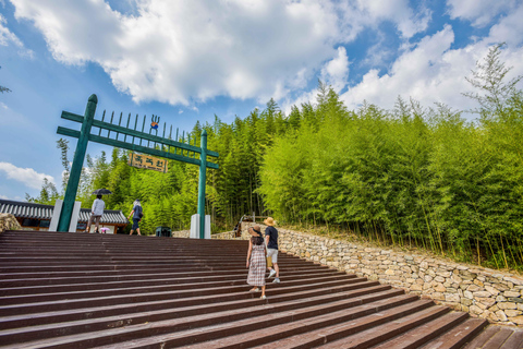 Busan: Damyang Juknokwon Bamboo Forest & Metasequoia Road Damyang Autumn Group Tour, Meet at Busan Subway Station