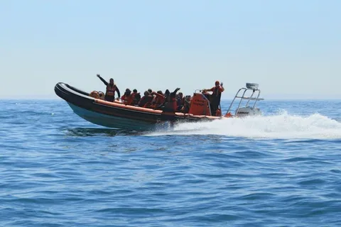 Newhaven: Giro in motoscafo della baia di Seaford a tre zeri