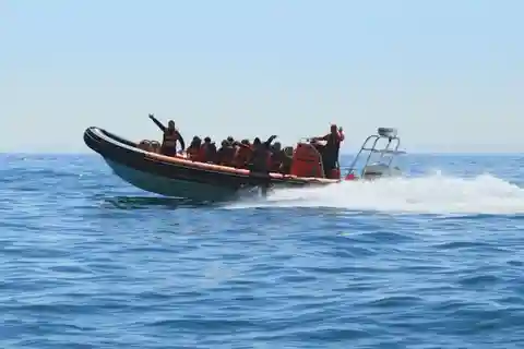 Newhaven: Three Zero Seaford Bay Speedboat Ride