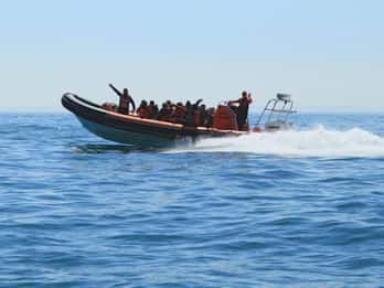 Newhaven: Drei Nullen Seaford Bay Speedboat Ride