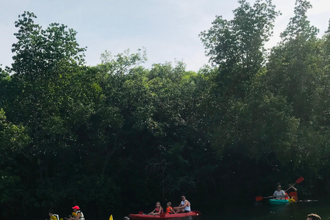 Ko Lanta : Visite d'une demi-journée en kayak dans la mangrove avec déjeuner