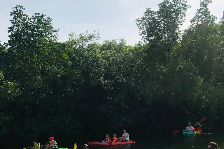 Ko Lanta : Visite d'une demi-journée en kayak dans la mangrove avec déjeuner