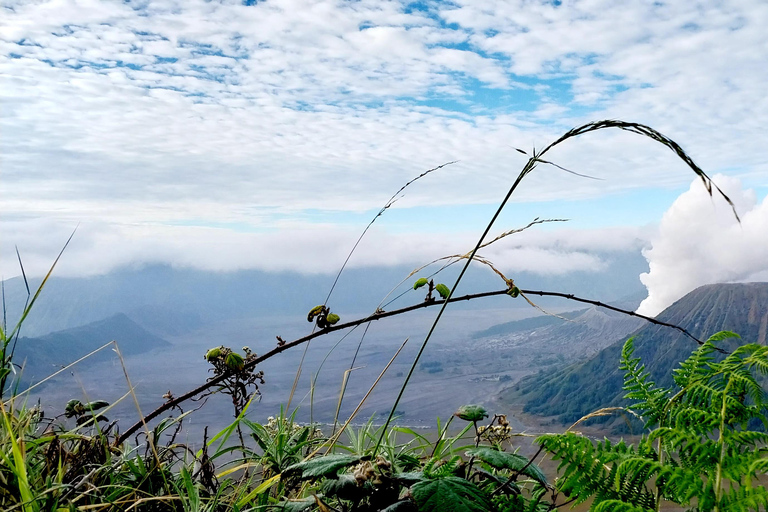 Bali: Ijen, Waterfalls, and Bromo 4-Day Tour PRIVATE: Finish YOGYAKARTA - All Inclusive