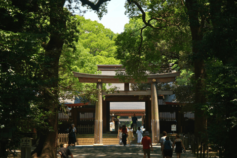 Tokio: wandeltour langs de hoogtepunten van Harajuku en Meiji JinguTijdreizen in Tokio: popcultuur in Harajuku en het Meiji Jingu-heiligdom