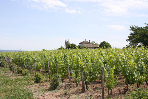 Bezoek : Van Château des Thorins naar Château du Moulin-à-Vent