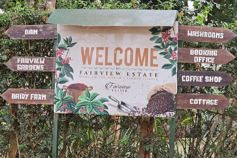 Nairobi: Fairview Coffee Estate Tour with Coffee Tasting