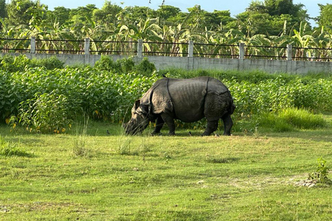 From Kathmandu to Chitwan: Jungle Safari + Meals &amp; Transport