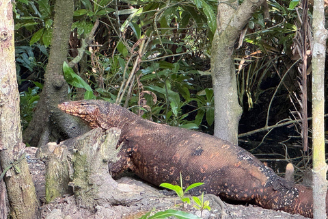 Bentota/Beruwala: Galle Fort, Koggala Lake & Kayaking Tour