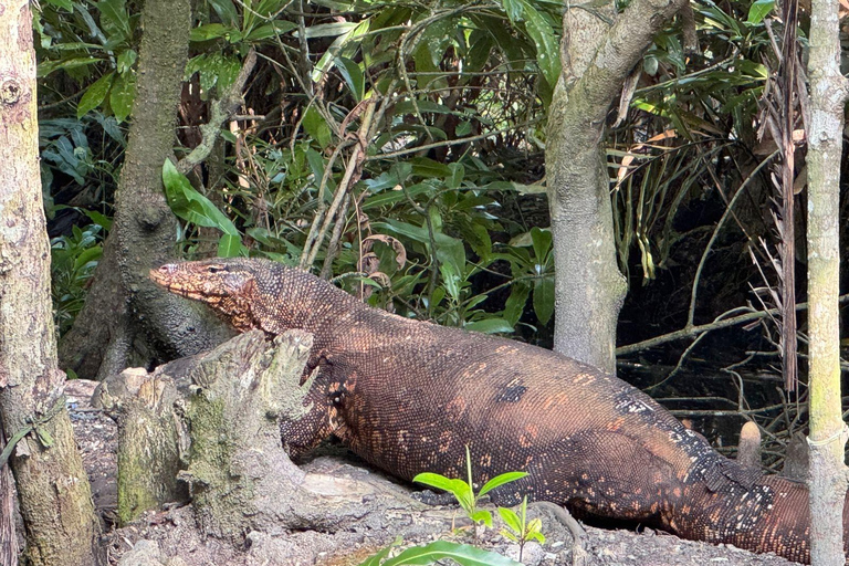Bentota/Beruwala: Galle Fort, Koggala Lake & Kayaking Tour
