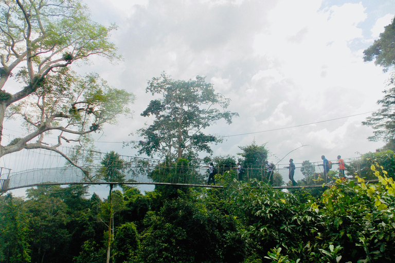 Accra: Cape Coast & Kakum Park Tour by "Trotro" Minibus