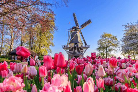 From Amsterdam: Keukenhof Gardens and Delft City Day Tour Private Tour 1 - 7 Persons