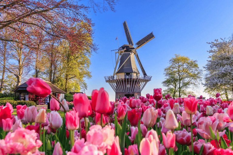 From Amsterdam: Keukenhof Gardens and Delft City Day Tour Private Tour 1 - 7 Persons