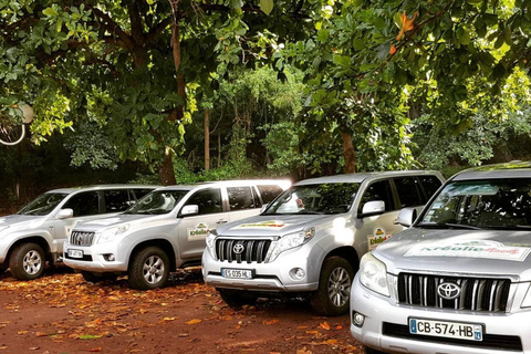 Reunion: 4WD tour to Dimitile - Full Day