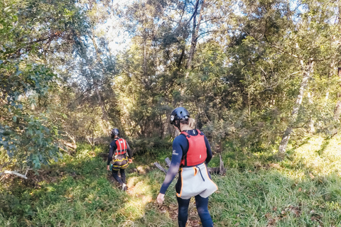 Plettenberg Bay: Canyoning Trip Plettenberg Bay: Standard Canyoning Trip