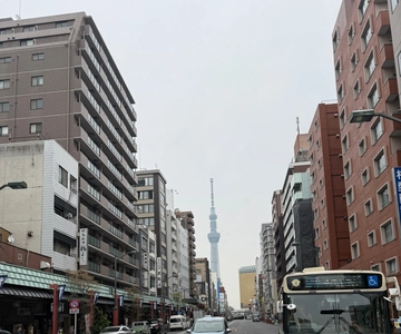 Tokyo/Yokohama/Kamakura: Guided Walking Experience