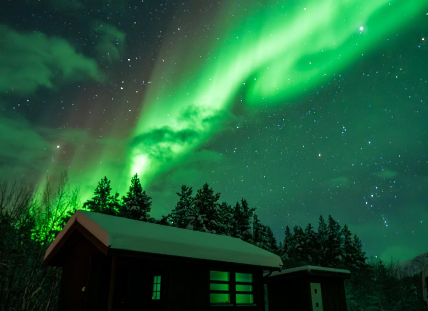 Tromsø: Nordlys i minibus med gratis fotos og et varmt måltid
