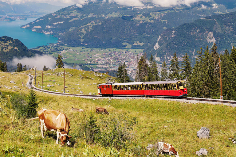 Schynige Platte - Top of Swiss Tradition ticket From Wilderswil: Schynige Platte Railway Round Trip and More