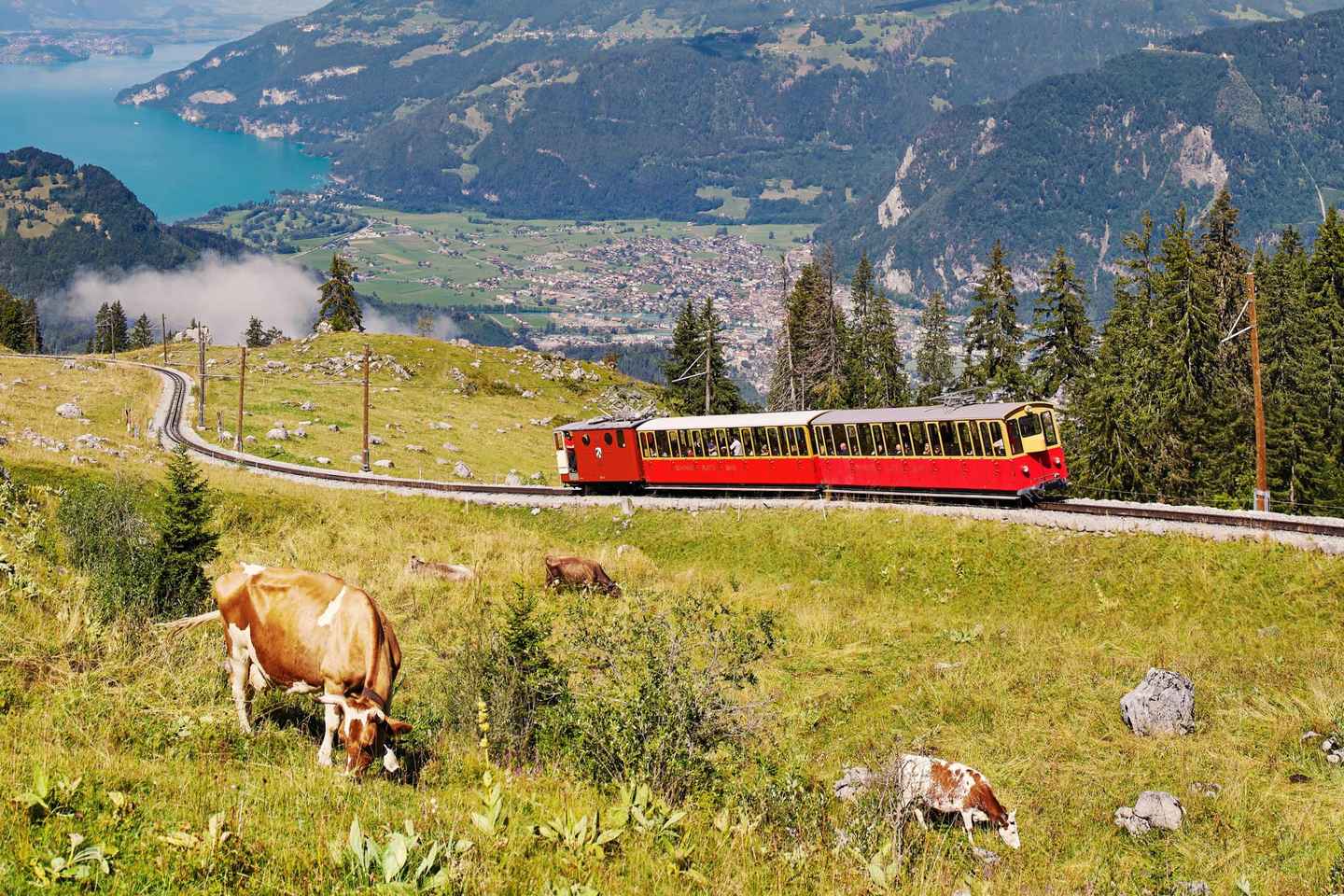 Schynige Platte - Top of Swiss Tradition ticket