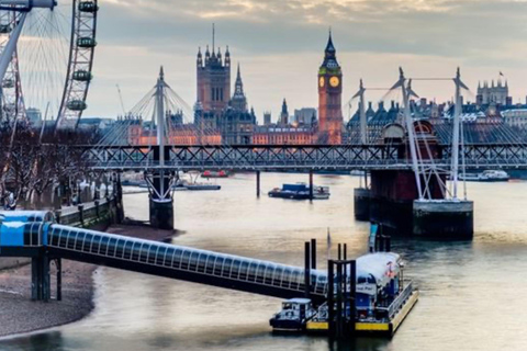 伦敦：威斯敏斯特私人徒步之旅和伦敦塔