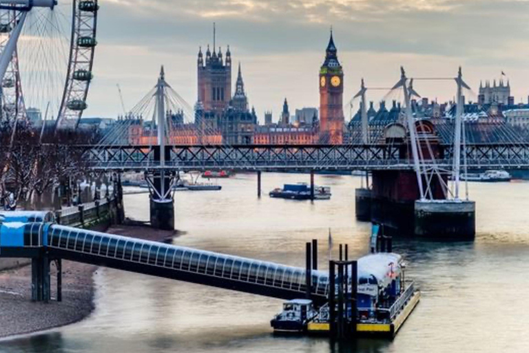 伦敦：威斯敏斯特私人徒步之旅和伦敦塔