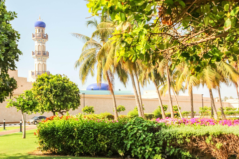 Salalah: Private City Tour — Half or Full Day Half day - Coach (21-45 guests)