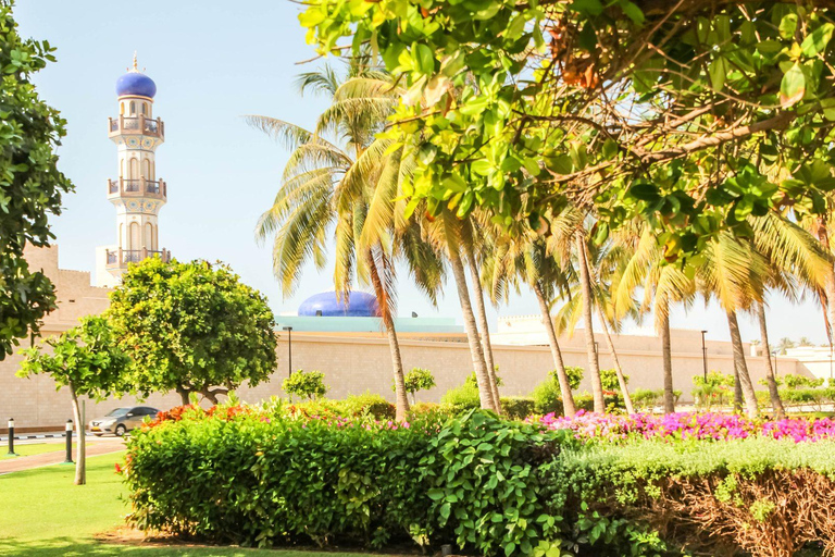 Salalah: Private City Tour — Half or Full Day Half day - Coach (21-45 guests)