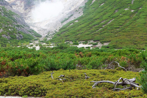 Shiretoko & Kiyosato: Five Lakes Full-Day Nature Tour