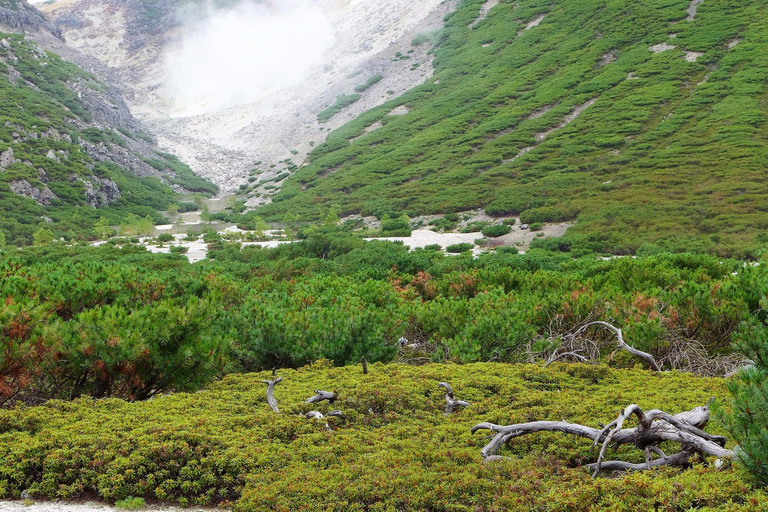 Shiretoko & Kiyosato: Five Lakes Full-Day Nature Tour