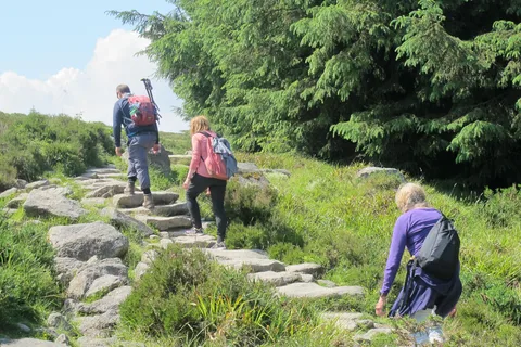 Caminata por los Senderos y Tumbas de las Montañas de Dublín