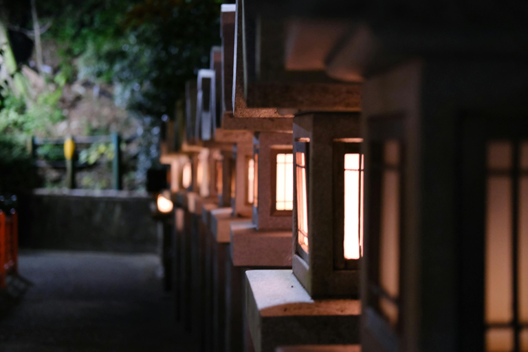 Osaka: Osaka /Nara Customize Day Trip With English Speaking.