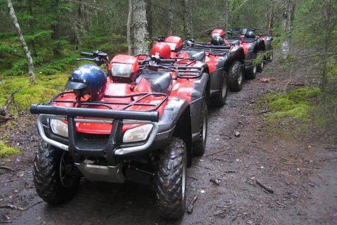 Bird Creek: Chugach State Park ATV Nature Tour & Hike Afternoon Adventure - Single ATV